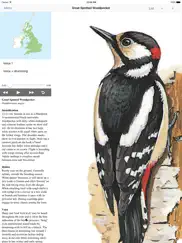 eguide to british birds ipad images 2