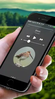 Охотничий манок на боровую и луговую птицу айфон картинки 1