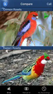 bird song id australia - automatic recognition iphone capturas de pantalla 3