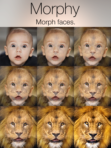 morphy - face morph gif & movie maker айпад изображения 1