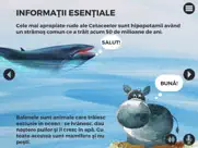 balene si delfini ipad capturas de pantalla 1