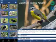 bird song id australia - automatic recognition ipad bildschirmfoto 1