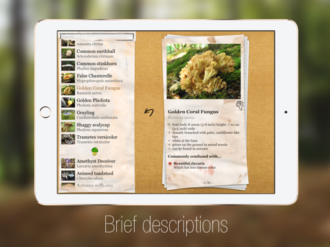 le guide des champignons pro iPad Captures Décran 2
