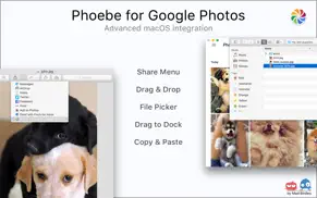 phoebe for google photos iphone images 2