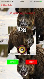 real hog hunting calls & sounds iphone images 3