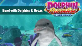 dolphin paradise - all access iphone images 1