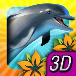 dolphin paradise - all access logo, reviews