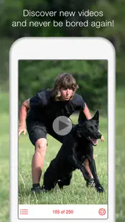 dog training school - learn how to train puppies iphone images 3