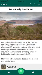 loch arkaig pine forest iphone images 1