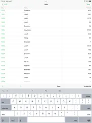 monies expense tracker iPad Captures Décran 1