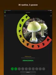 Знай лесные грибы! айпад изображения 3