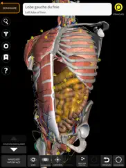 anatomie - atlas 3d iPad Captures Décran 1