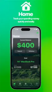 evergreen – finance manager iphone images 2