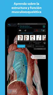 músculos & kinesiología iphone capturas de pantalla 1