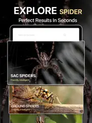 spiders identifier by photo id ipad resimleri 3