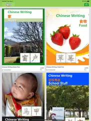 write chinese lite knowlemedia ipad images 1