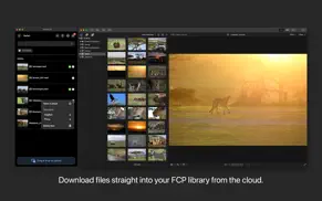alteon.io for final cut pro iphone images 4