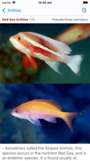 red sea fish id iPhone Captures Décran 4