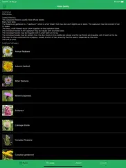 mobile flora - wild flowers ipad images 2
