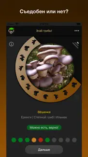 Знай лесные грибы! айфон картинки 2