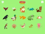 animals name learning toddles ipad images 3