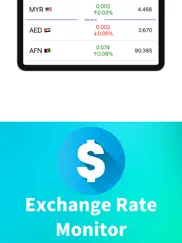 exchange rate monitor ipad images 4