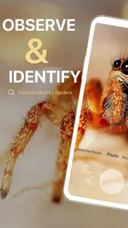 spiders identifier by photo id iphone resimleri 1