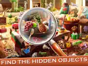 big home hidden objects ipad images 4