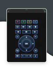 magic remote tv remote control iPad Captures Décran 3