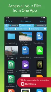 filebrowser professional iphone images 1