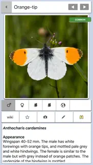 butterfly guide - europe iphone images 2