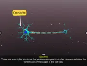 learn neuron ipad images 4