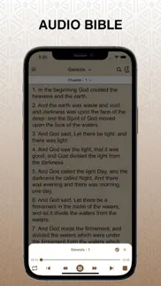 niv audio bible pro iPhone Captures Décran 4