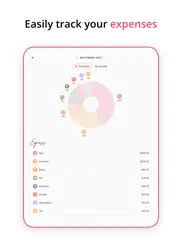 budget planner app - fleur ipad images 2