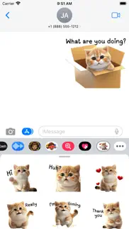 cute brown tabby cat stickers iphone images 1