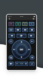 magic remote tv remote control iPhone Captures Décran 3