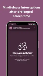 mindberry iPhone Captures Décran 1