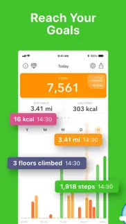 stepz - step counter & tracker iphone images 3