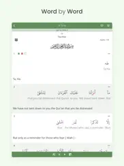 al quran (tafsir & by word) ipad images 2