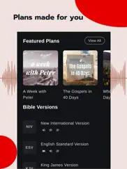 bible - audio & video bibles ipad images 2
