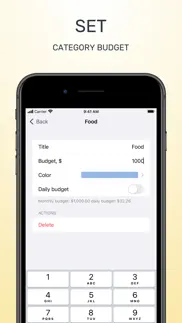 budget - money tracking iphone images 4