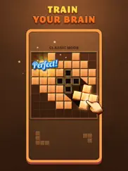 fill wooden block puzzle 8x8 ipad images 4