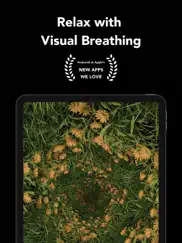 resonate - visual breathing ipad images 1