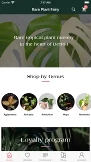 rare plant fairy iphone images 1