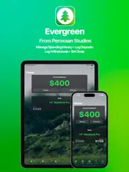 evergreen – finance manager ipad images 1