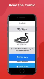 effin birds iphone images 2