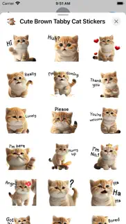 cute brown tabby cat stickers iphone images 2