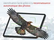 oiseaux de suisse - birdlife iPad Captures Décran 2