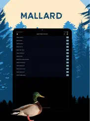 mallard magnet - duck calls ipad images 1