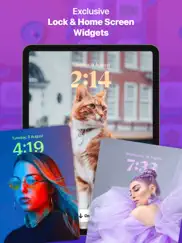 themes widgets & icons by vega ipad images 1